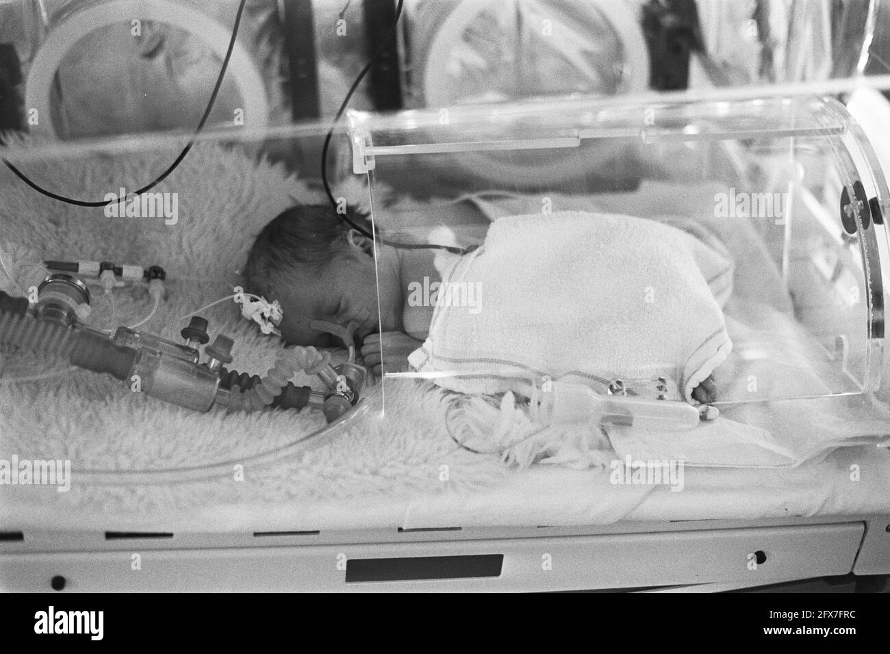 Jasper in the incubator, October 14, 1983, babies, incubators, multiple births, The Netherlands, 20th century press agency photo, news to remember, documentary, historic photography 1945-1990, visual stories, human history of the Twentieth Century, capturing moments in time Stock Photo