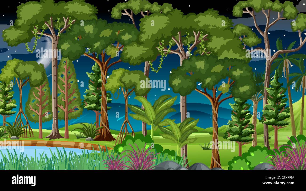 Forest landscape scene at night with many different trees illustration ...