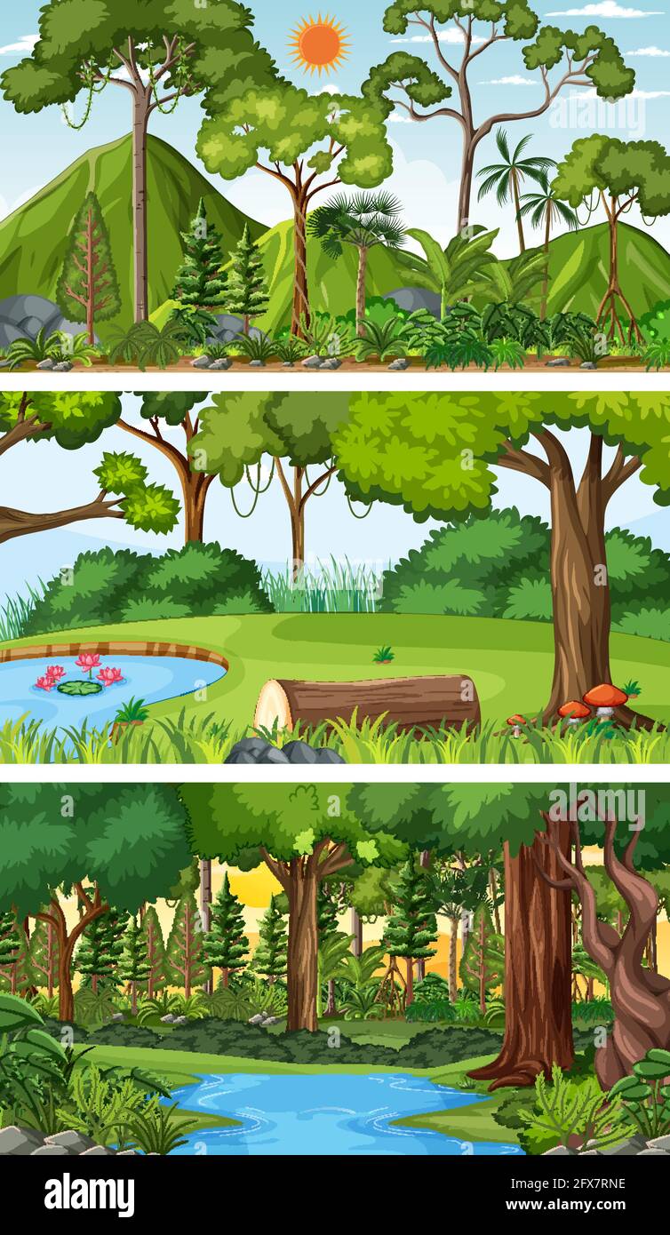 Three different nature horizontal scenes illustration Stock Vector