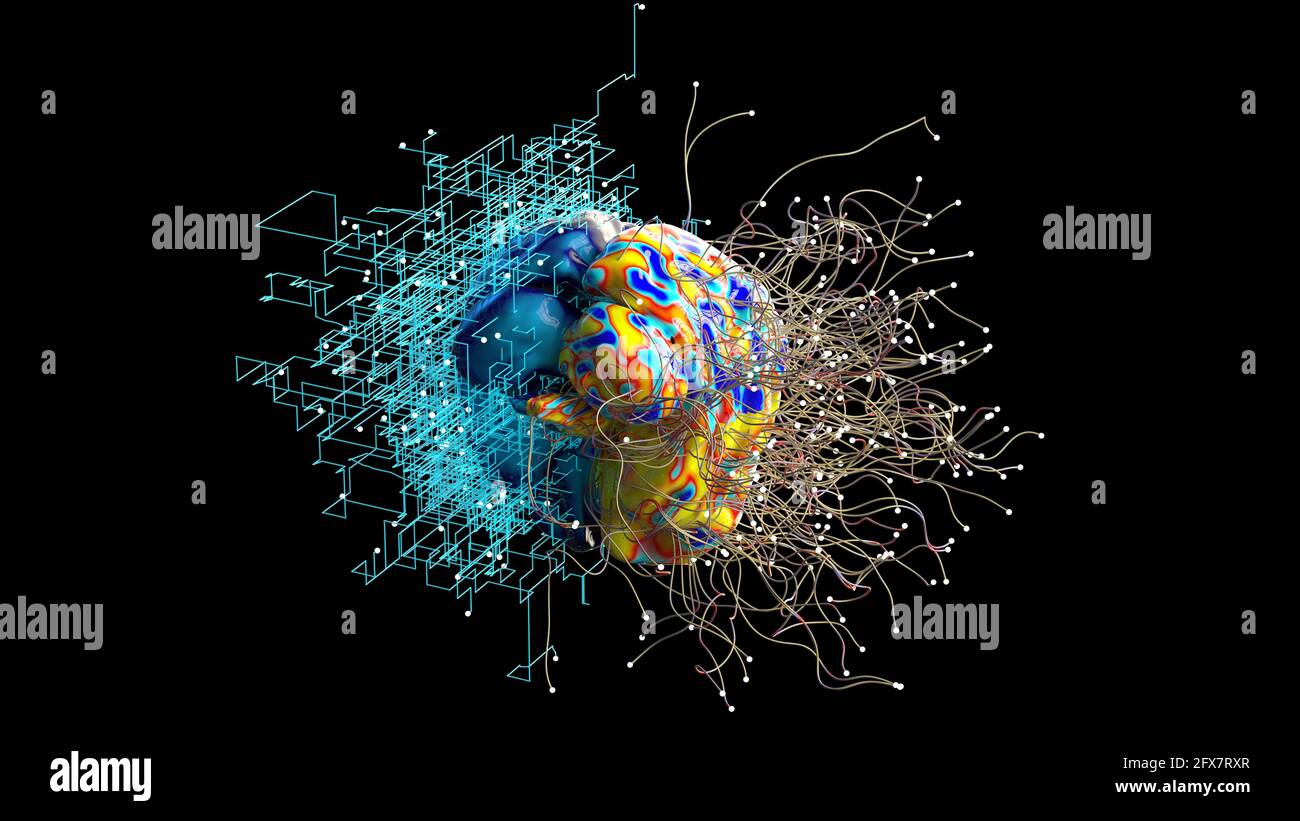 Abstract art of a left and right brain Stock Photo - Alamy