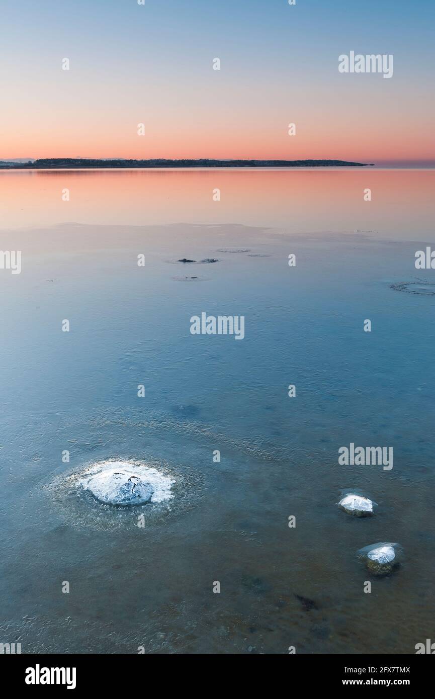 Frozen shoreline at sunrise, Sweden Stock Photo