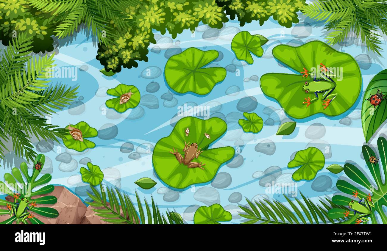 Aerial scene with frogs and lotus leaves in the pond illustration Stock ...