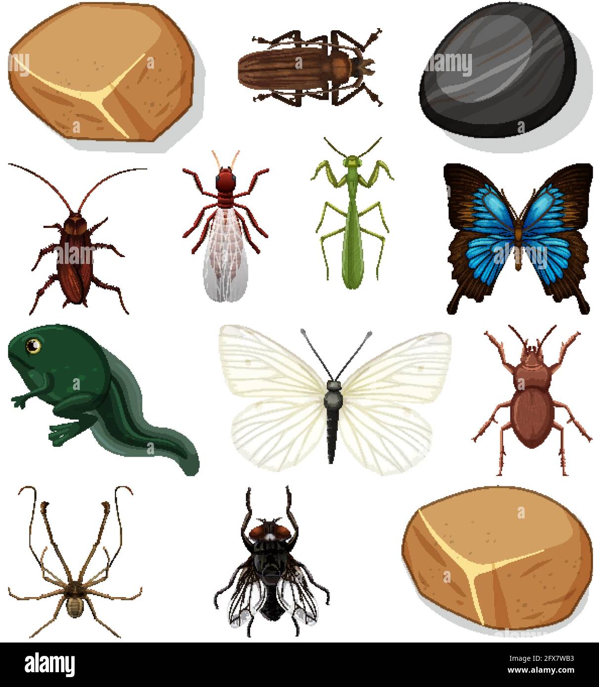 Different types of insect with nature elements illustration Stock ...