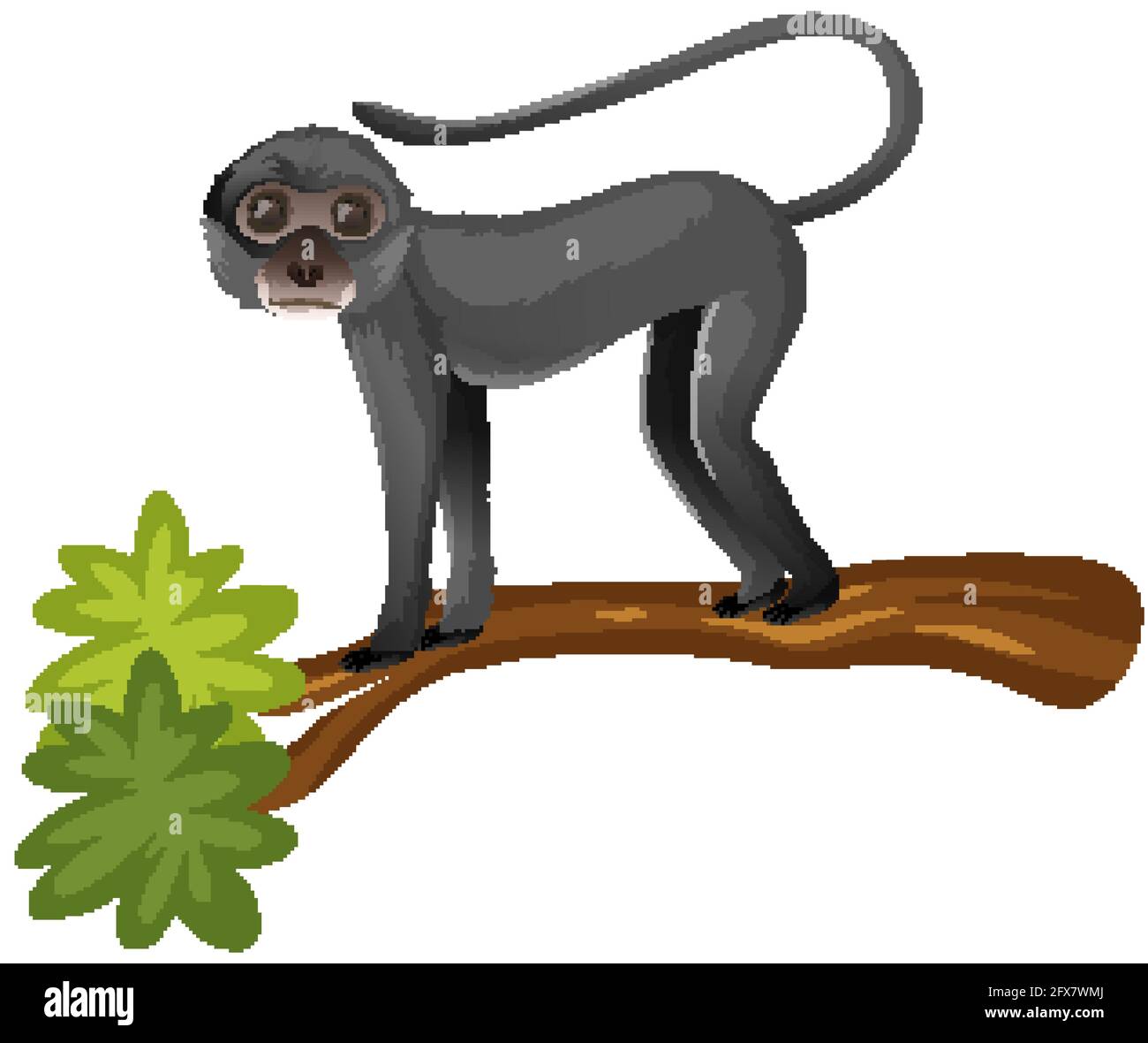 Spider Monkey Clipart