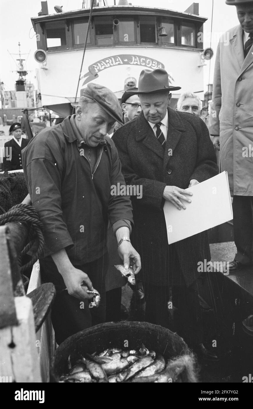 Herring fishing fishermen hires stock photography and images Alamy