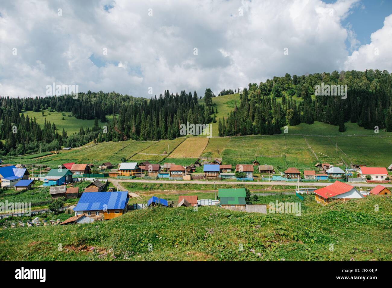 Secluded village in a valley on a side of a hill with a lush connifer ...