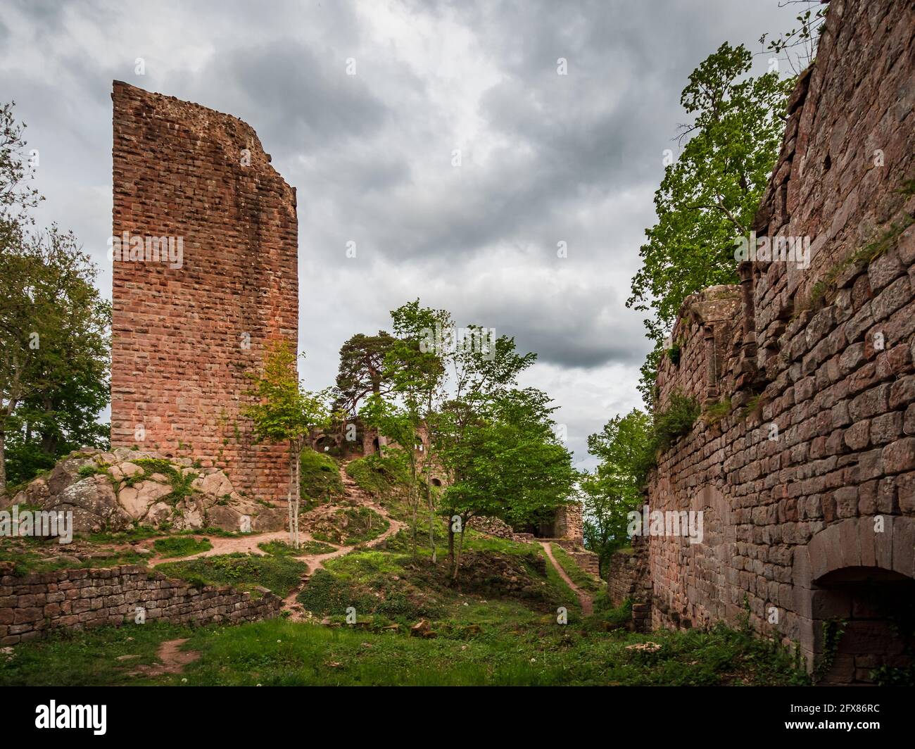 Medieval Castle Landsberg in Vosges, Alsace. Ancient ruins in the mountains. France. Stock Photo
