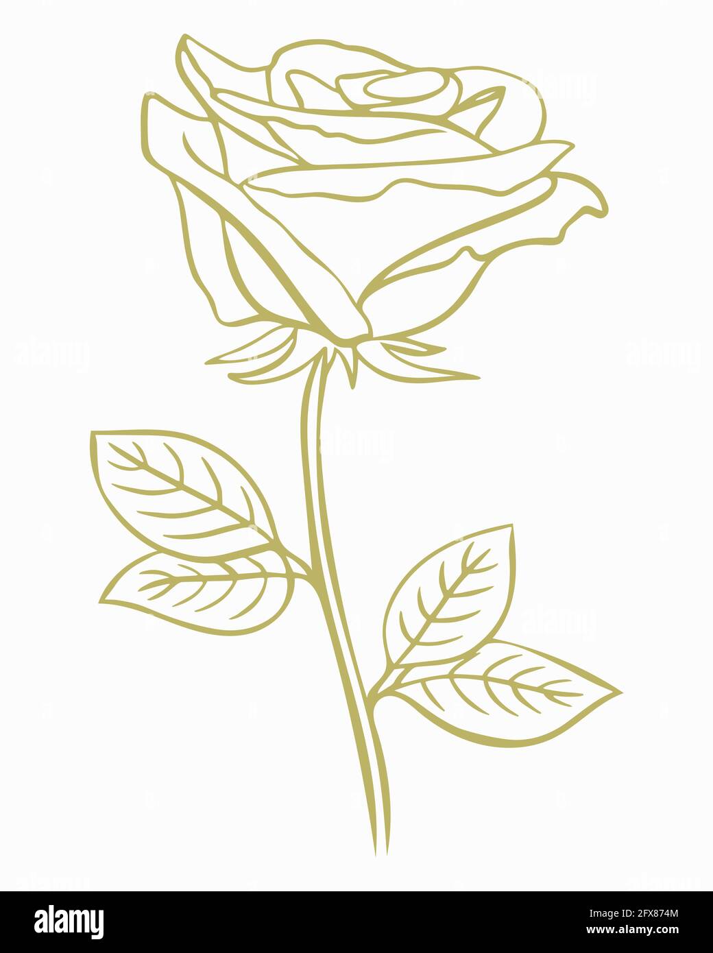 Gold rose, vector. A simple illustration with a blossoming flower. Blooming petals. Line art, hand drawing. Stock Vector