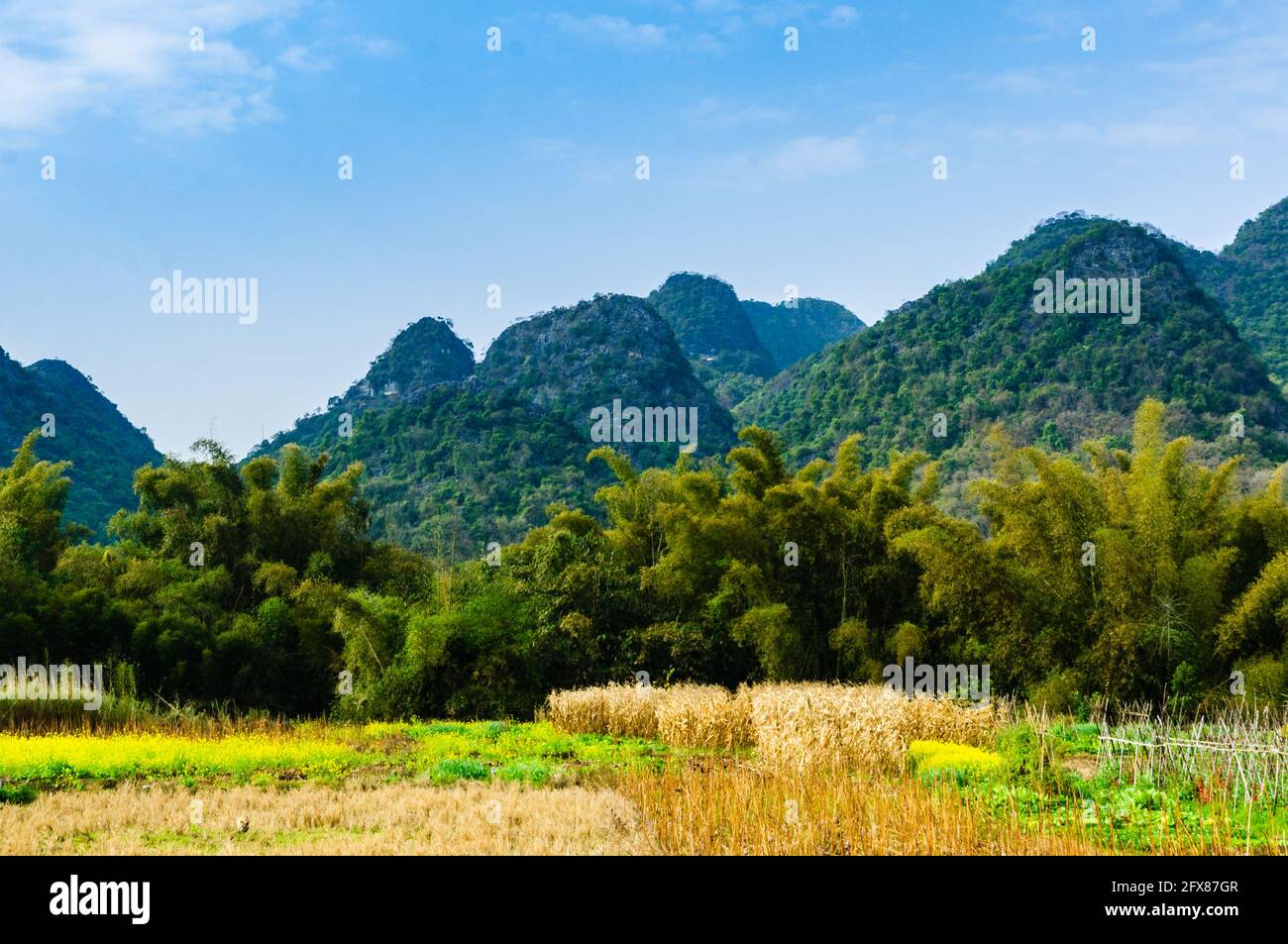 Countryside scenery in spring Stock Photo