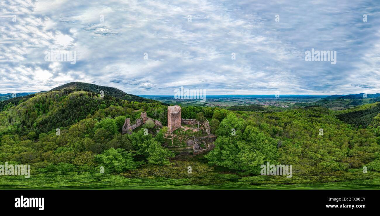 Medieval Castle Landsberg in Vosges, Alsace. Aerial 360-degree panoramic view of the castle ruins, filmed from a drone. France. Stock Photo