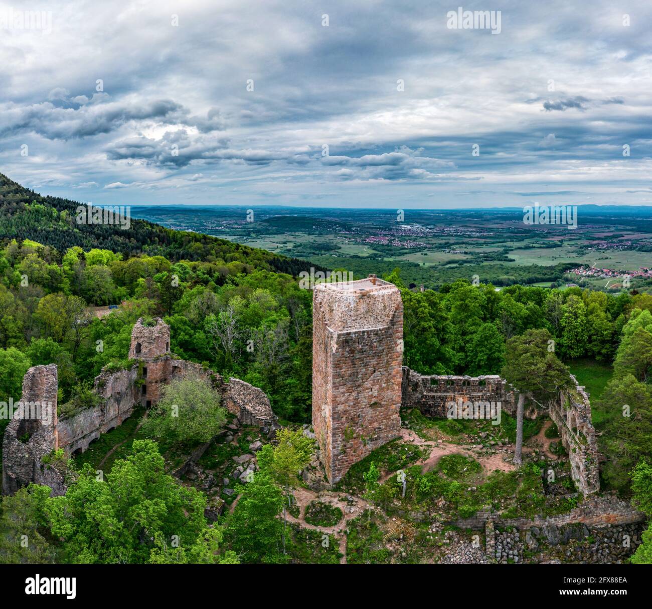 Medieval Castle Landsberg in Vosges, Alsace. Aerial view of the castle ruins, filmed from a drone. France Stock Photo
