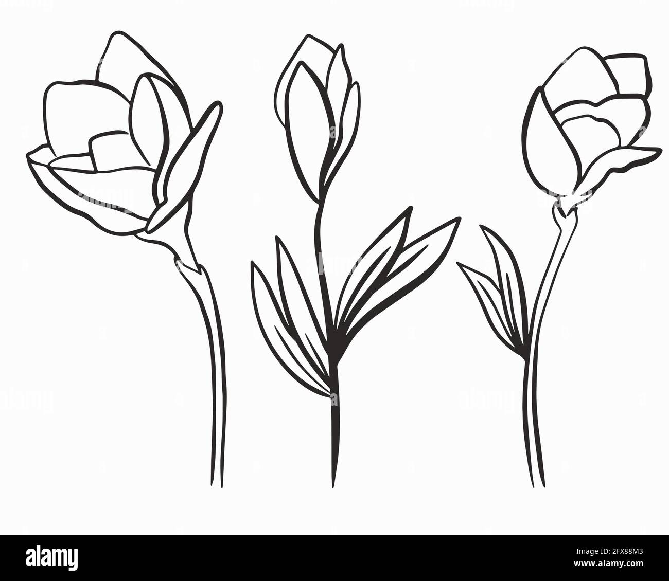Three flowers, rope outline. Vector. Simple floral elements, line art Hand drawing Stock Vector