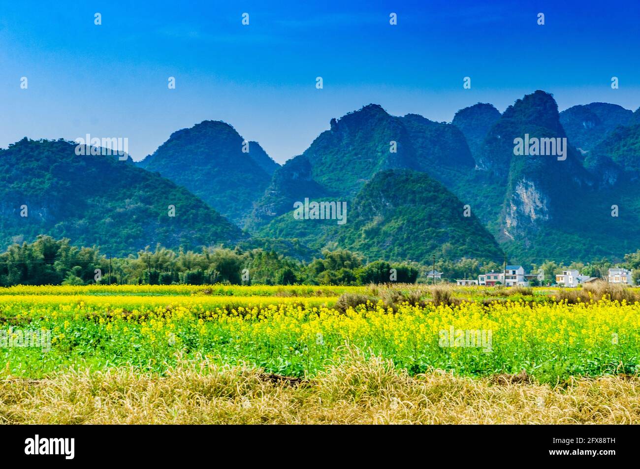 Countryside scenery in springtime Stock Photo - Alamy