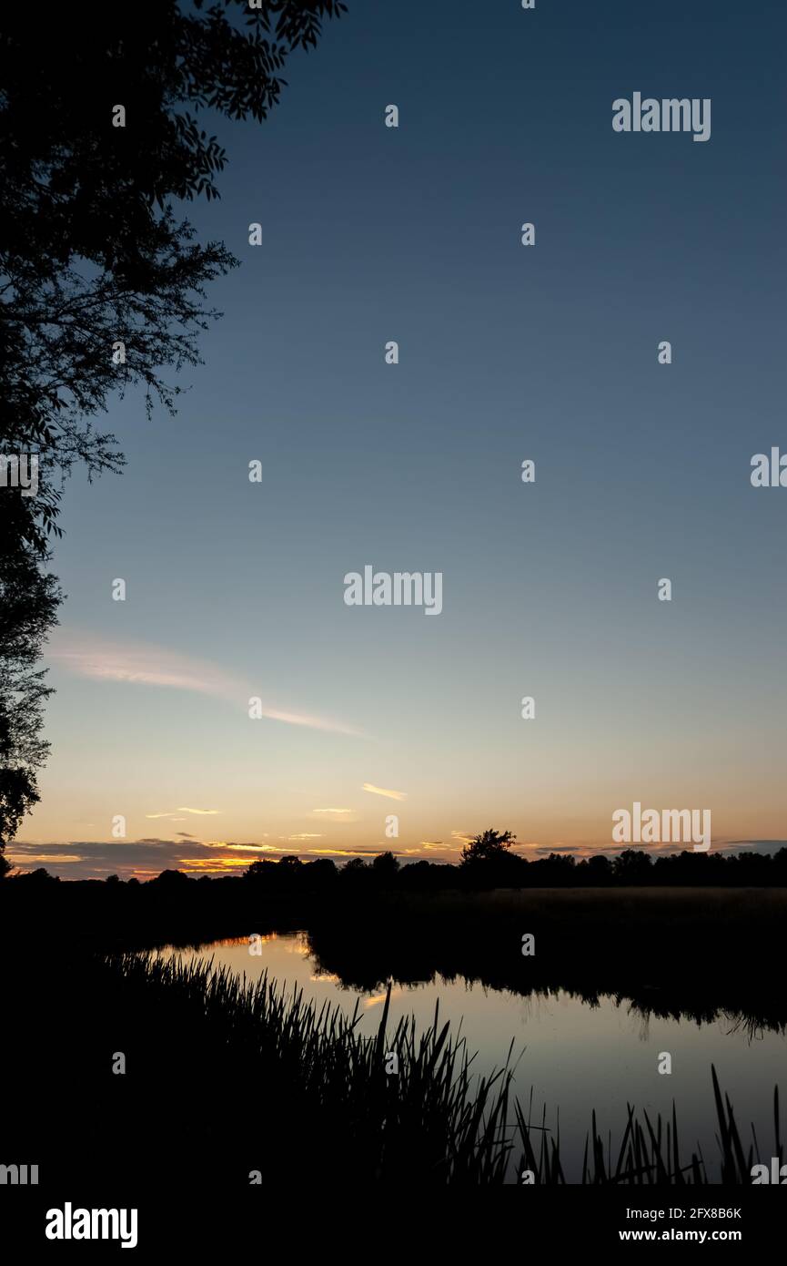 Riverside and clear sky after dusk in summer with reeds, trees and reflections in water, evening sunset Stock Photo