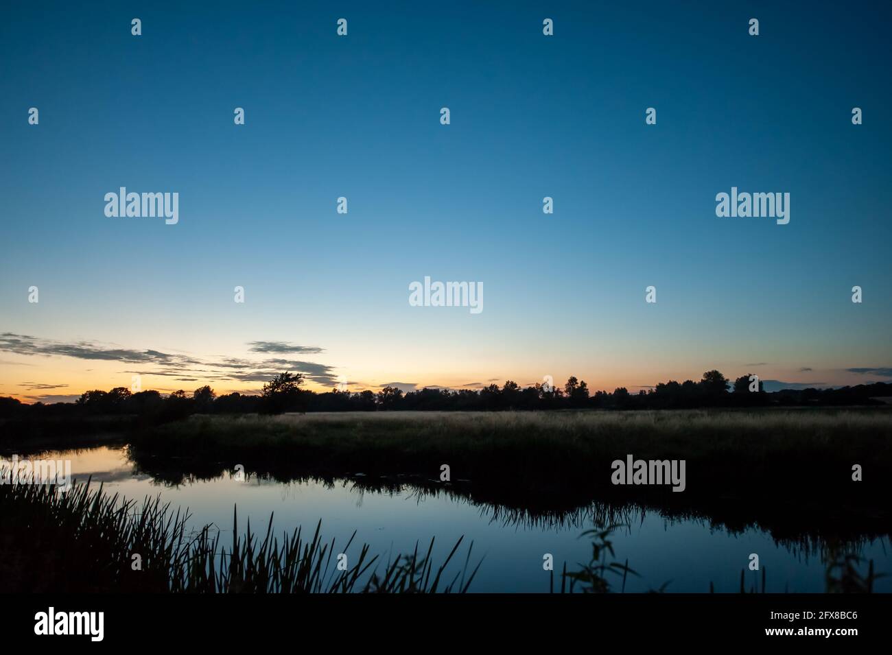 Riverside and clear sky after dusk in summer with reeds, trees and reflections in water, evening sunset Stock Photo