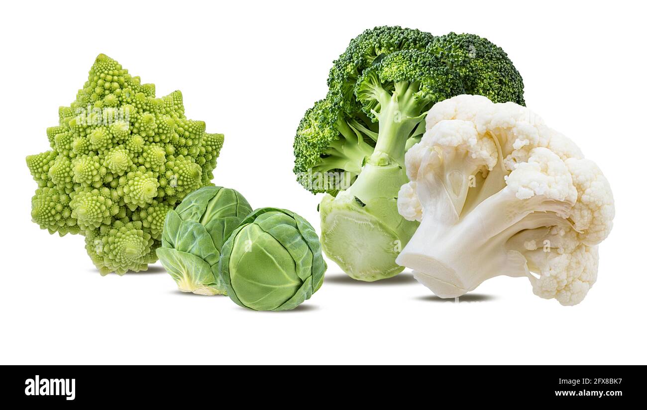 Cabbage collection isolated on white background Stock Photo - Alamy