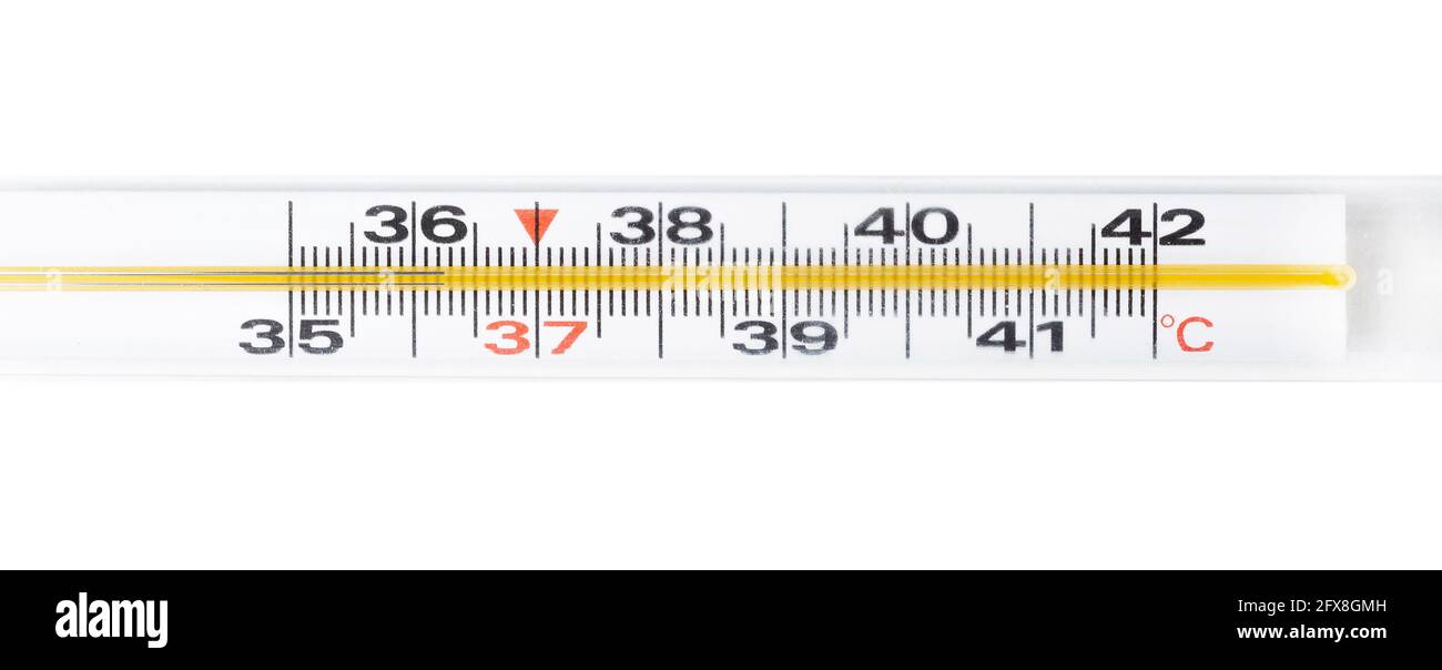 Traditional classic old fashioned mercury thermometer tool celsius