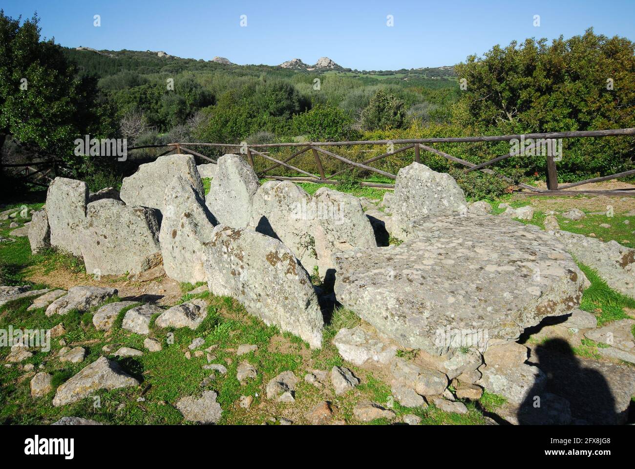tomba dei giganti di li lolghi