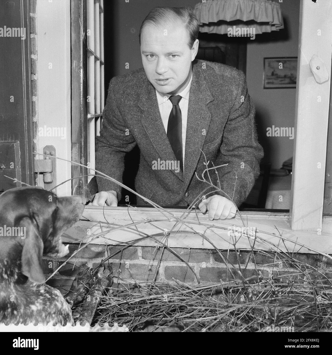 Bernhard Haitink offered the position as director of the Minneapolis Symphony Orchestra, December 30, 1959, conductors, dogs, music, orchestras, portraits, The Netherlands, 20th century press agency photo, news to remember, documentary, historic photography 1945-1990, visual stories, human history of the Twentieth Century, capturing moments in time Stock Photo