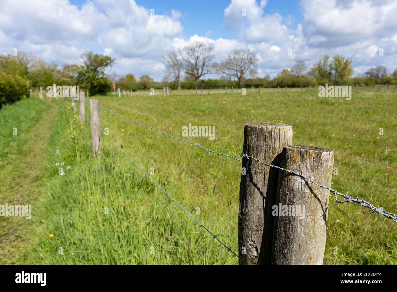 Fence with barb wire in the field in daylight Stock Photo - Alamy