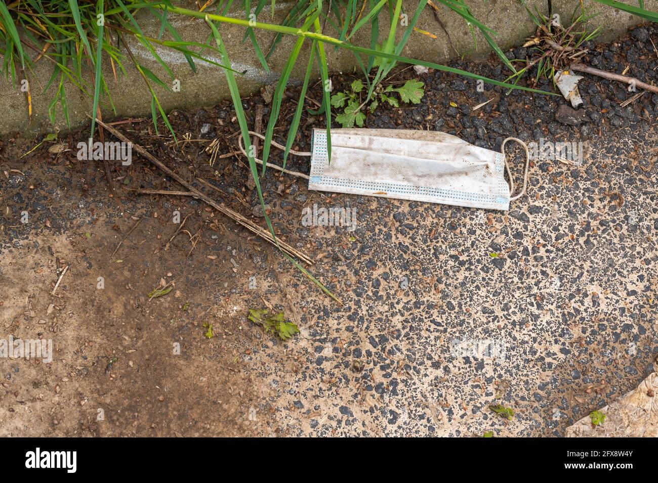 Old used disposable face mask discarded in the grounds of a Norfolk NHS hospital. Stock Photo