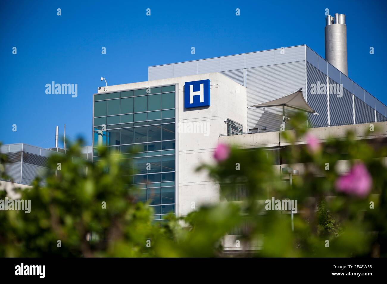 york general hospital rock hill sc