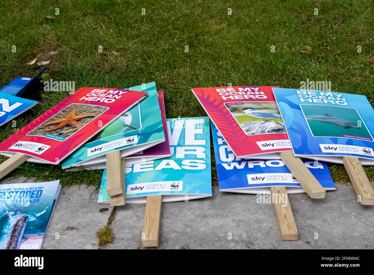 London, UK. 26th May, 2021. A World Wildlife fund and Sky and Sky Zero Ocean Hero event outside the Houses of Parliament to restore and recover our oceans Credit: Ian Davidson/Alamy Live News Stock Photo