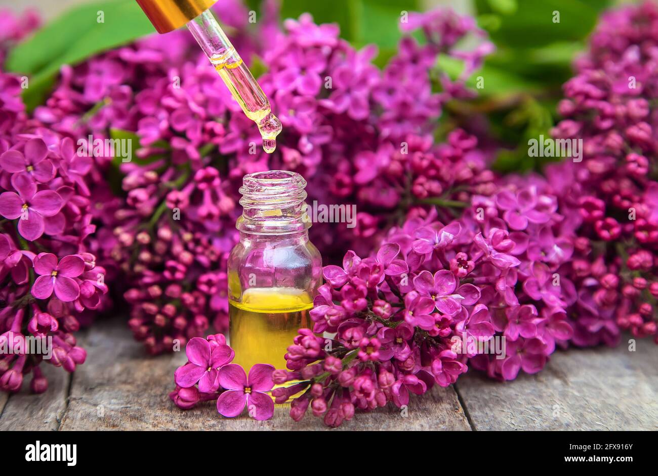 Lilac essential oil in a small bottle. Selective focus. Nature Stock Photo  - Alamy