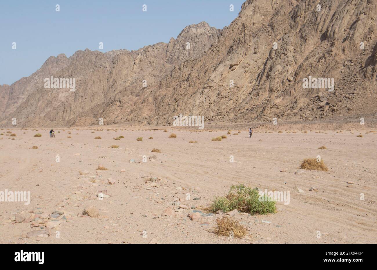 Landscape scenic view of desolate barren eastern desert in Egypt with adventure cyclists cycling along wadi river valley Stock Photo
