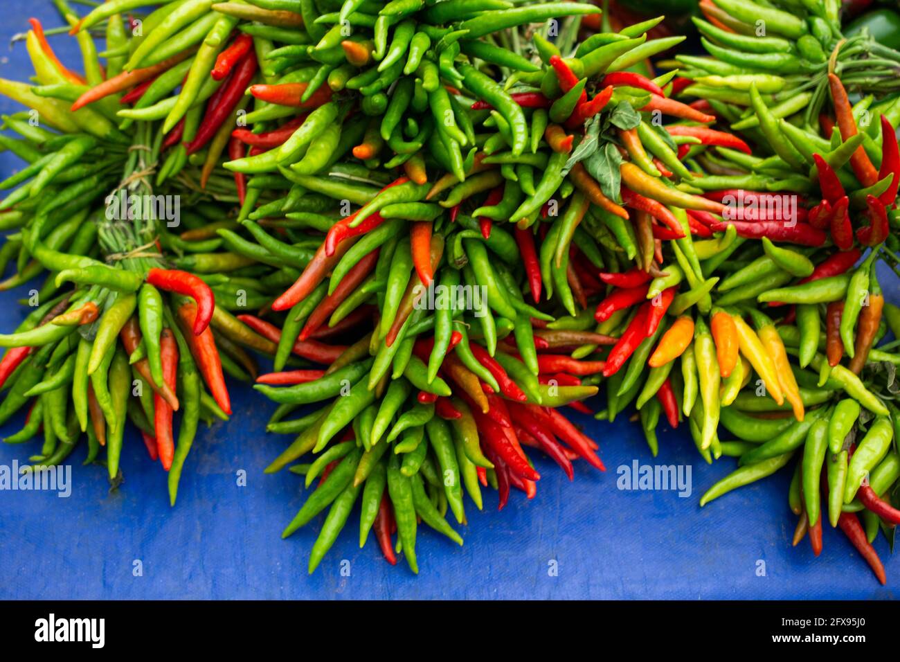Green chilli wallpaper hi-res stock photography and images - Alamy