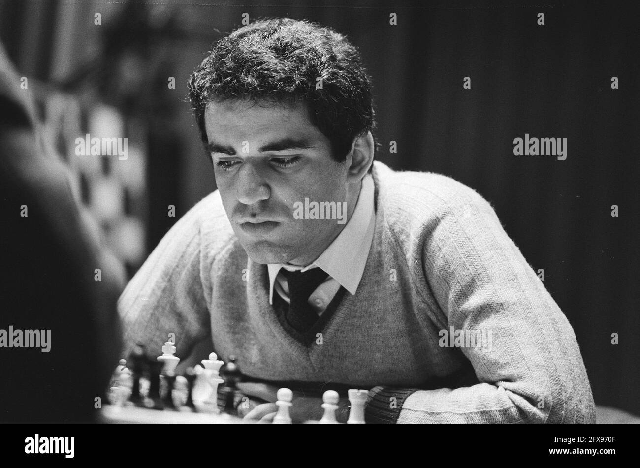 CHESS NEWS BLOG: : Kasparov addresses European