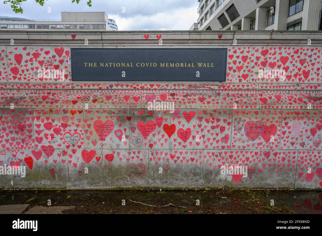 26 May 2021. The National Covid Memorial Wall on the south bank of the rover Thames, opposite the Houses of Parliament, in memory to those who lost their lives to Covid-19 in the UK. Credit: Malcolm Park/Alamy. Stock Photo