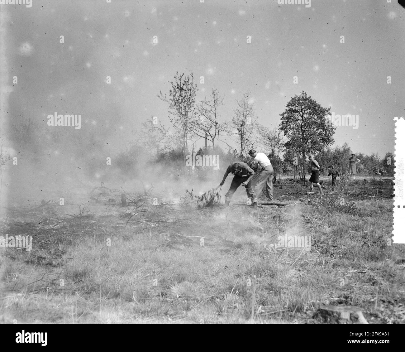 Forest fire and heathland fire near Scherpenzeel, May 22, 1956, Forest fires, The Netherlands, 20th century press agency photo, news to remember, documentary, historic photography 1945-1990, visual stories, human history of the Twentieth Century, capturing moments in time Stock Photo