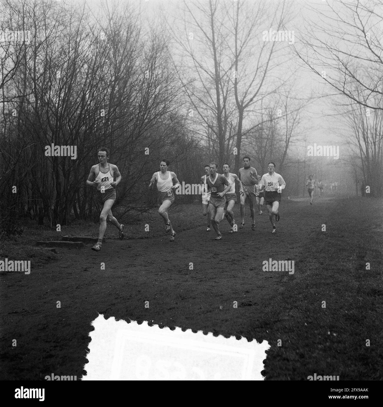 Bosloop Leiden. Runners on the road, February 3, 1957, The Netherlands, 20th century press agency photo, news to remember, documentary, historic photography 1945-1990, visual stories, human history of the Twentieth Century, capturing moments in time Stock Photo