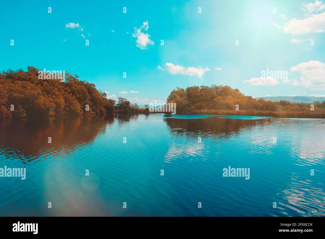 The black river in Jamaica Stock Photo Alamy