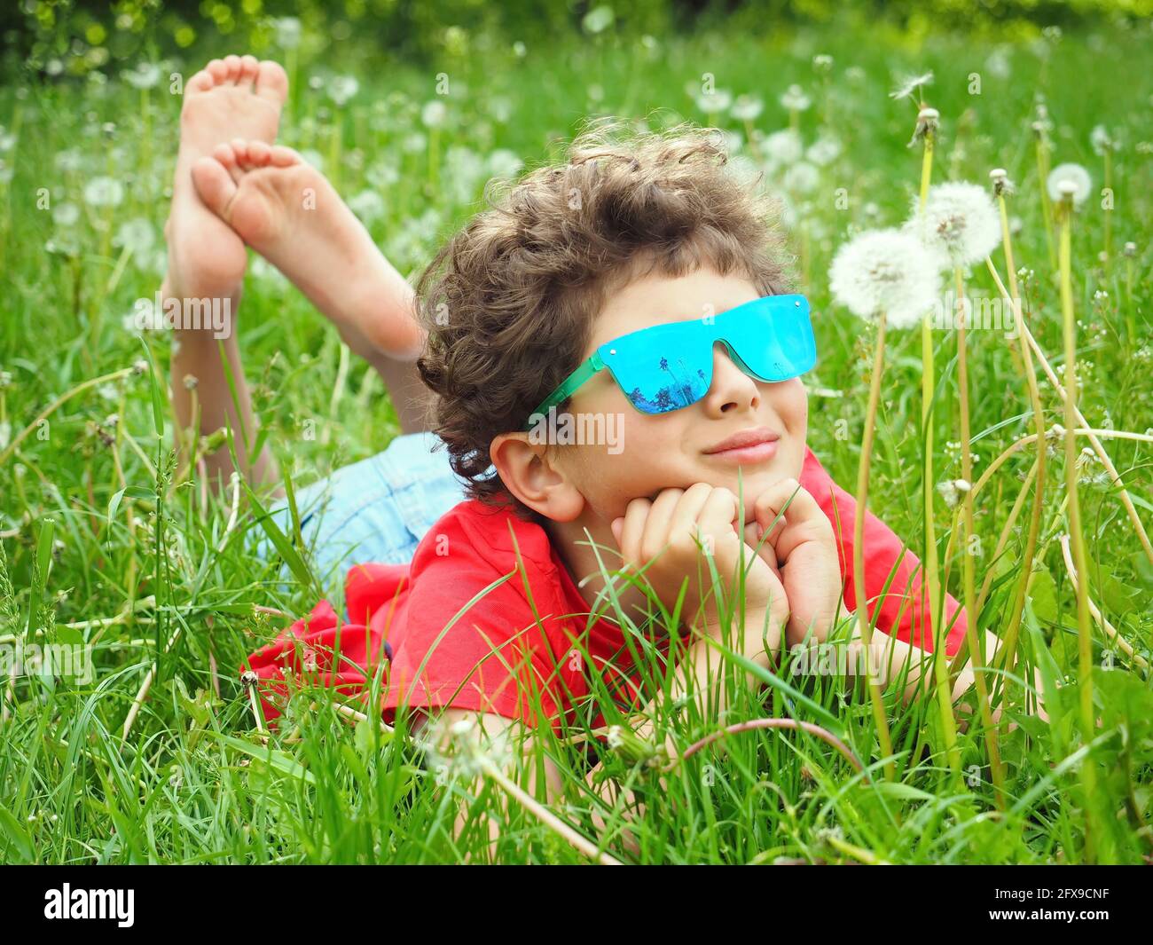 Cute little boy in blue sunglasses lying on the grass with dandelions Stock Photo