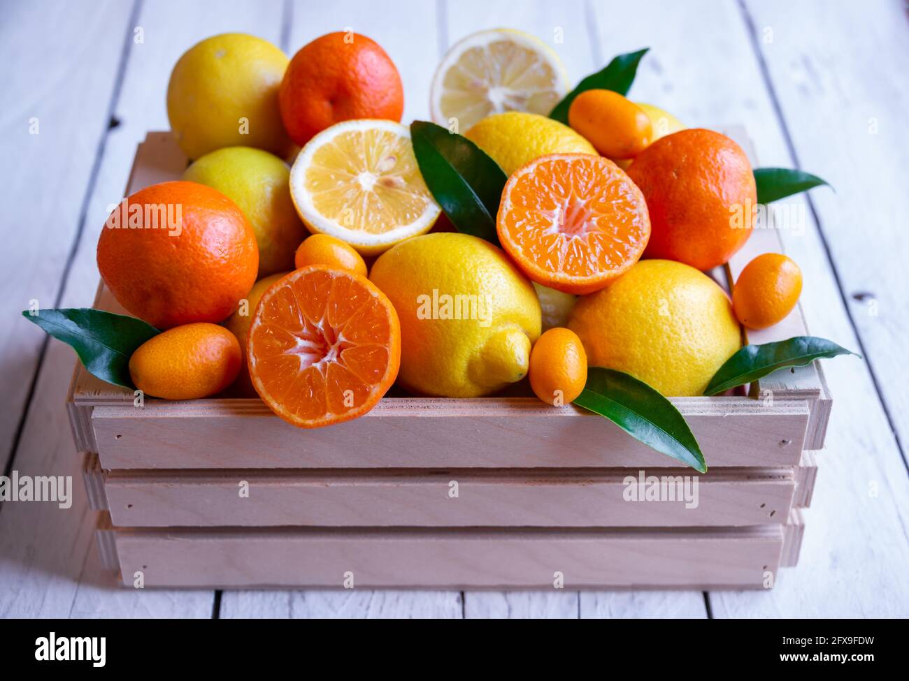 Mixed citrus fruits, ripe and fresh with green leaves Stock Photo - Alamy
