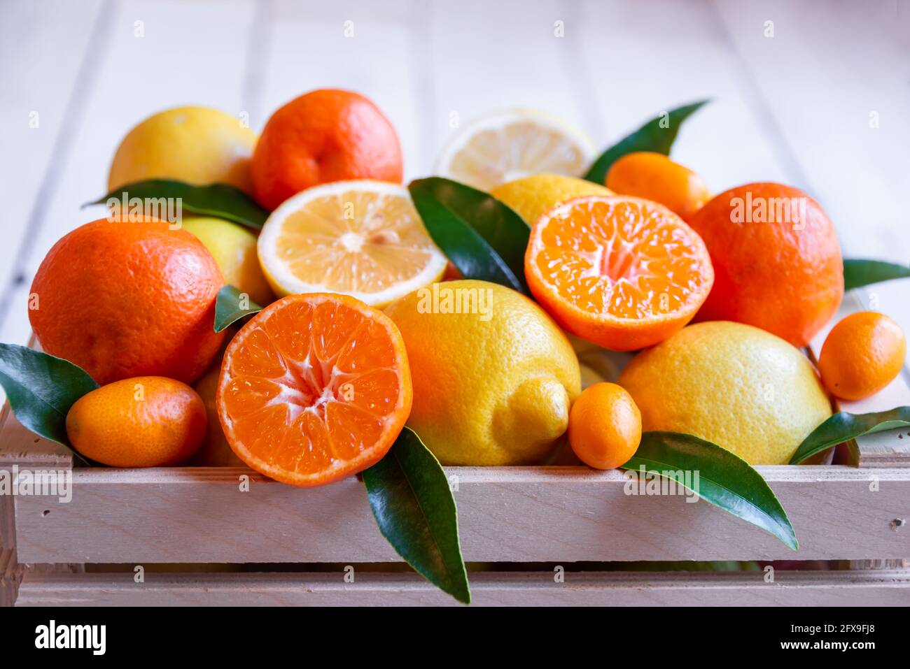 Mixed citrus fruits, ripe and fresh with green leaves Stock Photo - Alamy