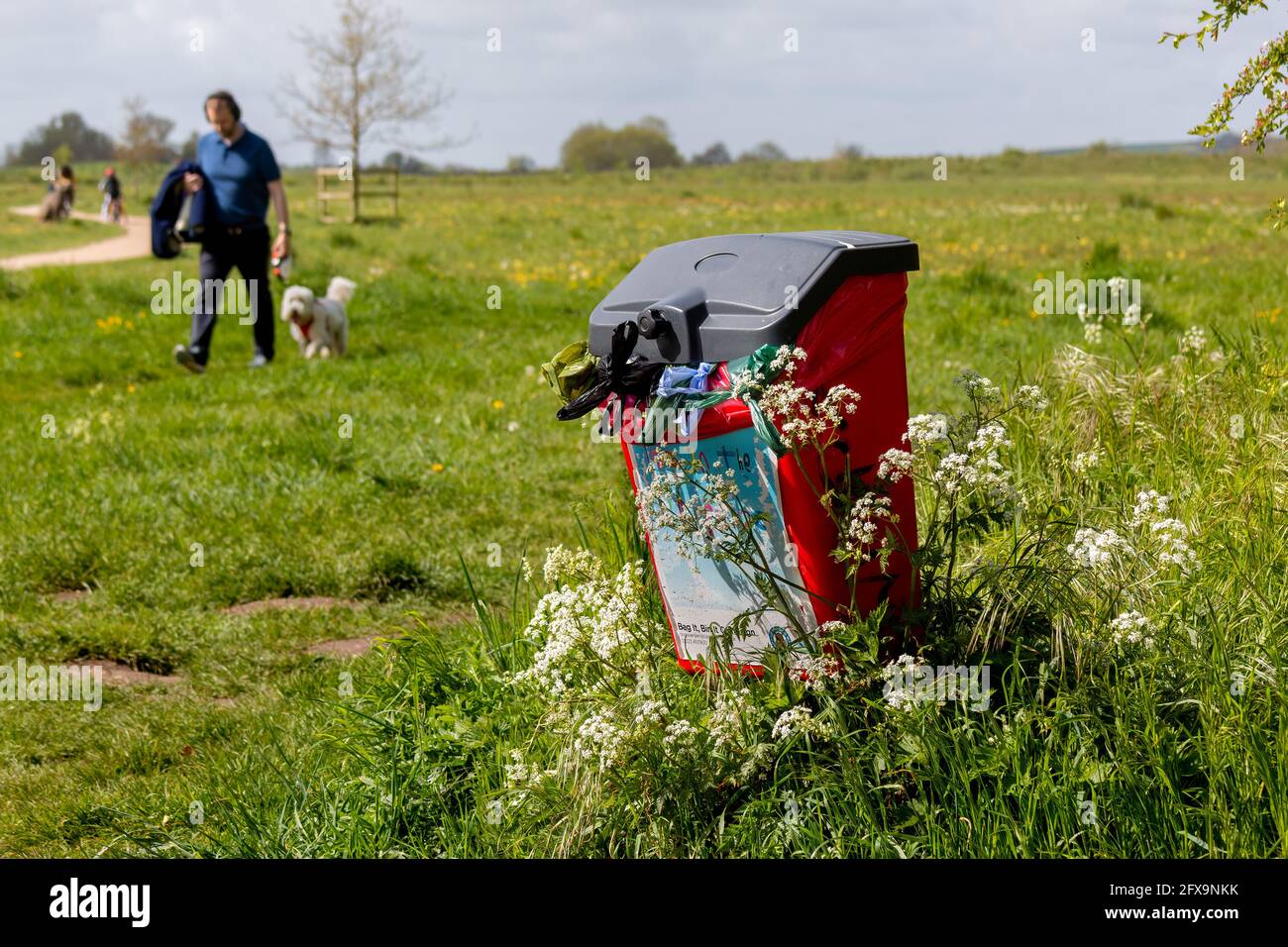A litter bin overflowing with dog poo bags. Stock Photo