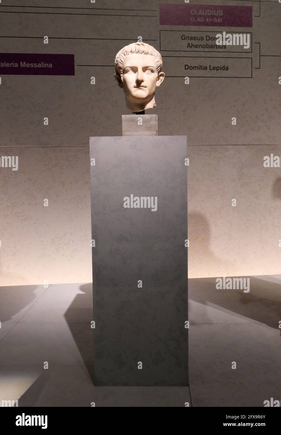 Nero is known as one of Rome's most infamous rulers, notorious for his