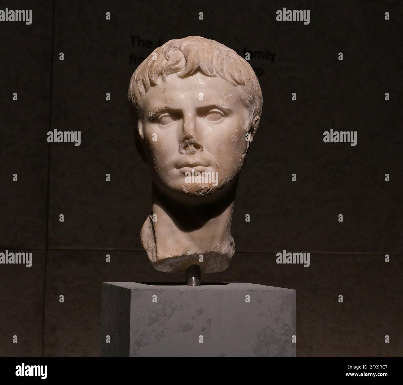 Nero is known as one of Rome's most infamous rulers, notorious for his ...