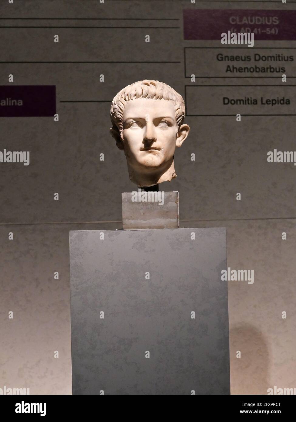 Nero is known as one of Rome's most infamous rulers, notorious for his