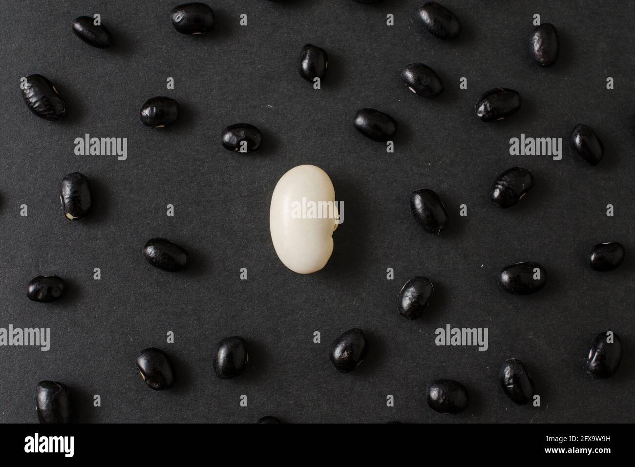 black and white beans background Stock Photo - Alamy