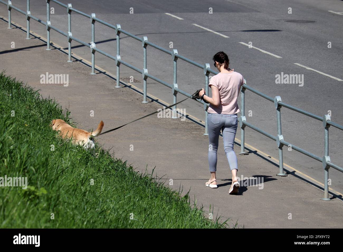 Slim girl walking a dog on a street. Woman with pet in summer city Stock Photo