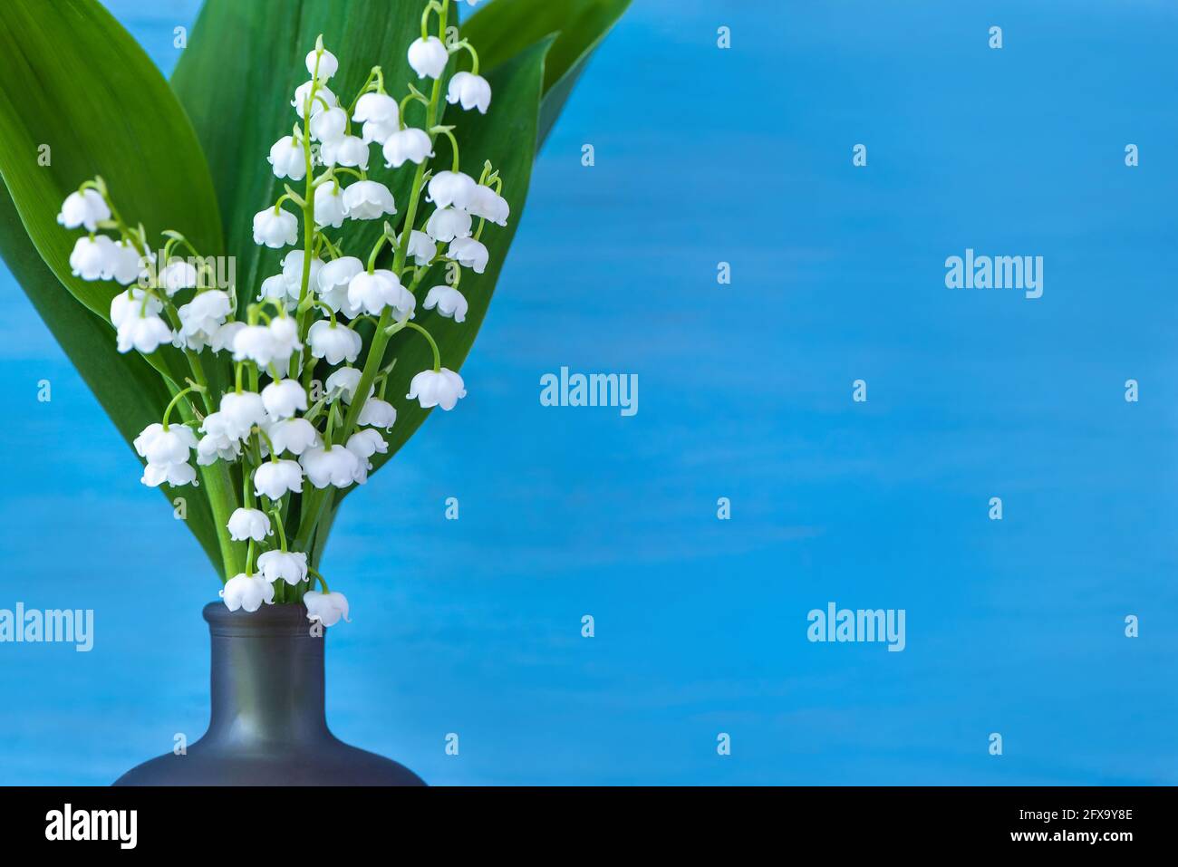 Lilly valley hi-res stock photography and images - Alamy