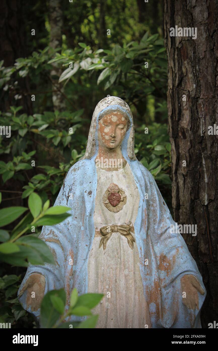 Mary of the Sacred Heart reaches out while standing among these trees Stock Photo