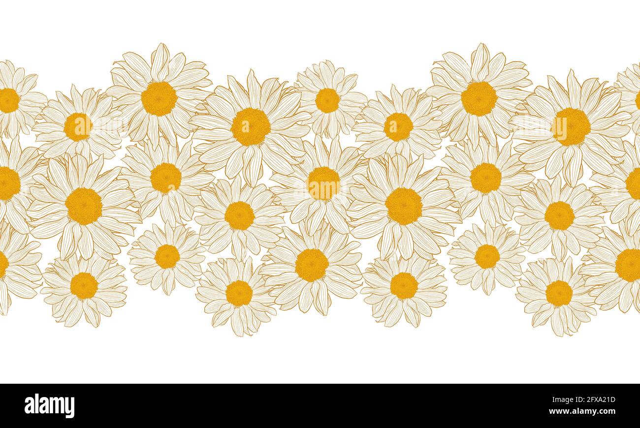 Seamless horizontal daisy border with bronze outline isolated on white background. Decorative vector design for wallpapers, packaging, textiles, trendy fabrics or other printable covers. Stock Vector