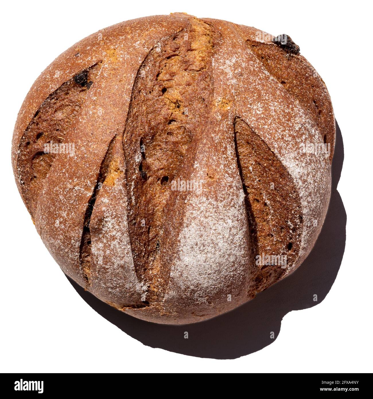 Fresh homemade rustic rye round with raisins bread isolated on white