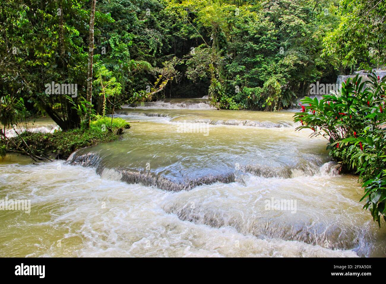 The Dunns's River Falls in Jamaica in the Dunn's River Falls Park Stock Photo