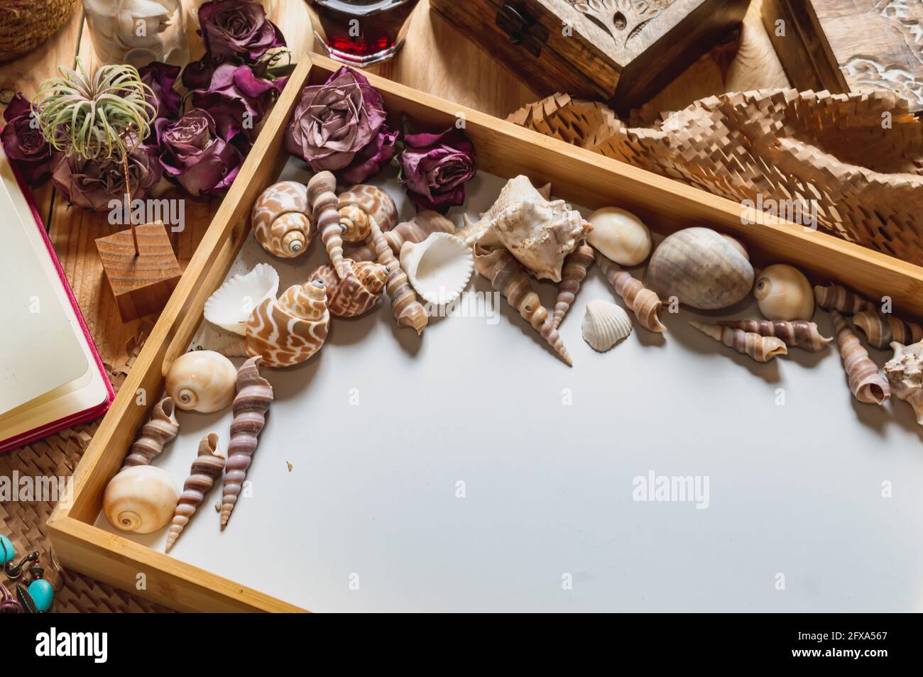 Image of a wooden tray with seashells and dried pink roses on a wooden table Stock Photo
